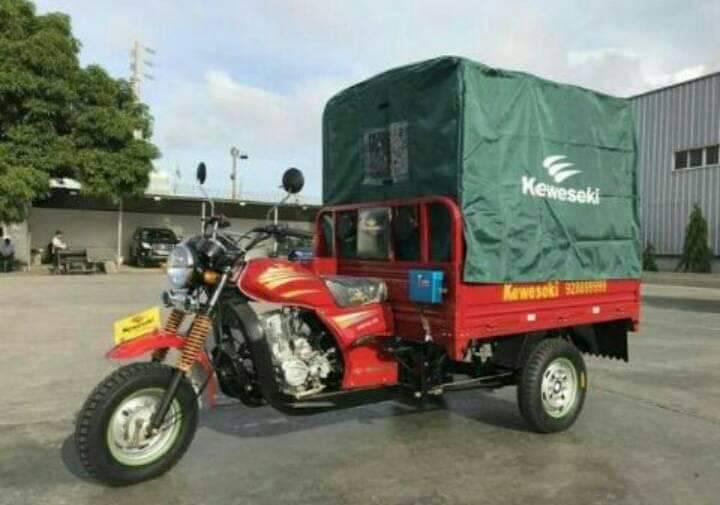 Mota Kupapata